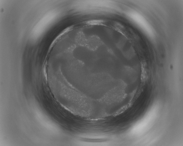 X0000066121198200604071904