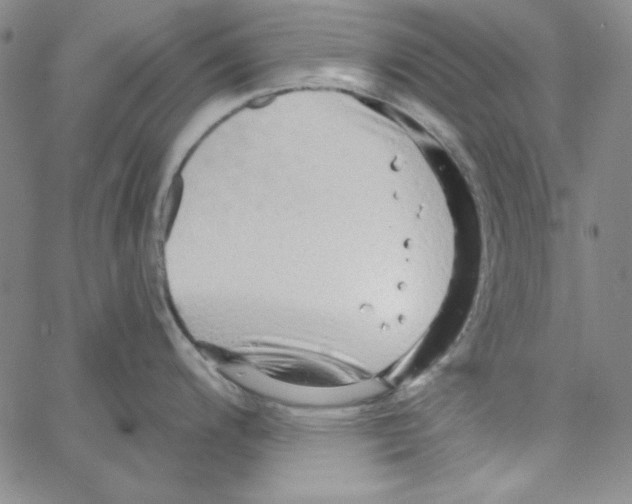 X0000066121200200604071904