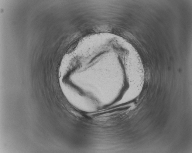 X0000066121201200604071903