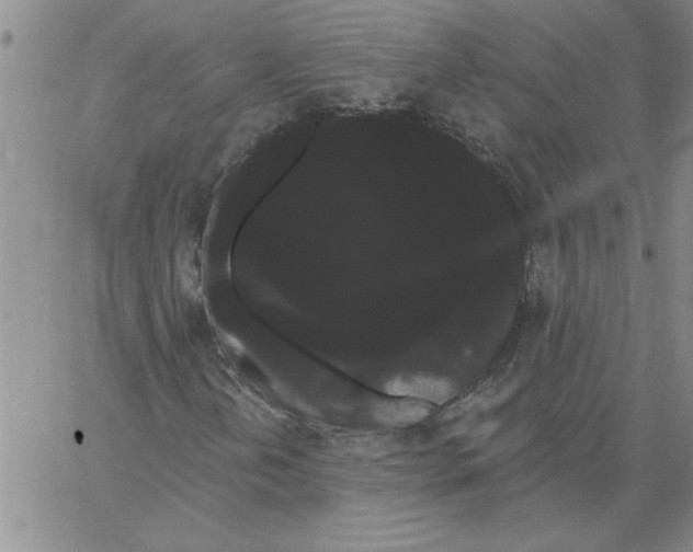 X0000066121202200604071903