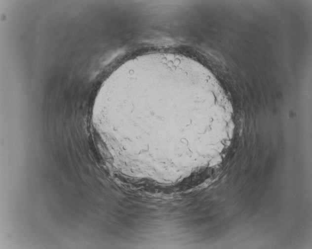 X0000066121205200604071903