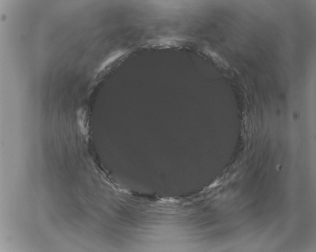 X0000066121206200604071903