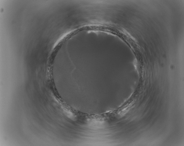 X0000066121208200604071903