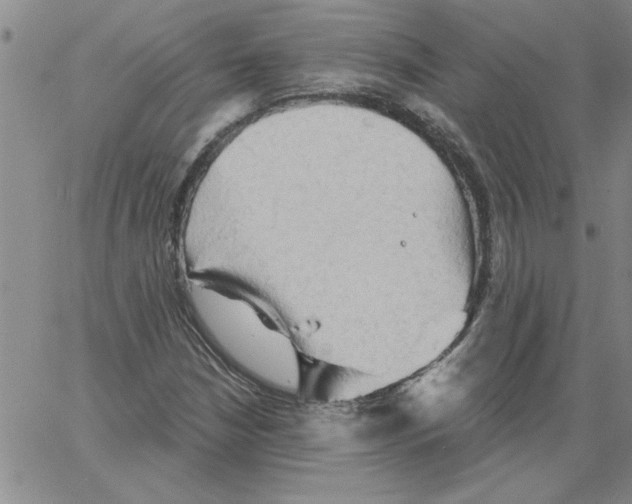 X0000066121210200604071903