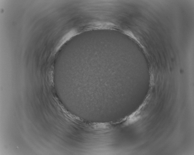 X0000066121211200604071903