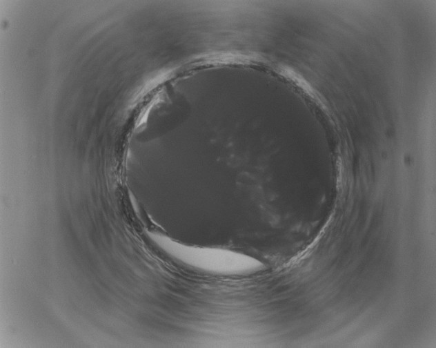 X0000066121213200604071903