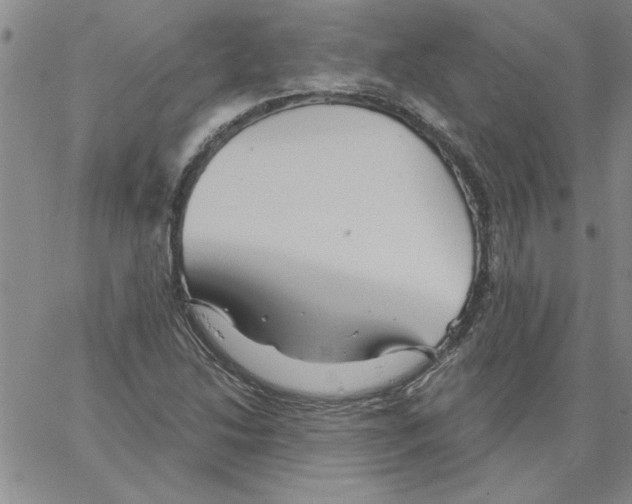 X0000066121214200604071903