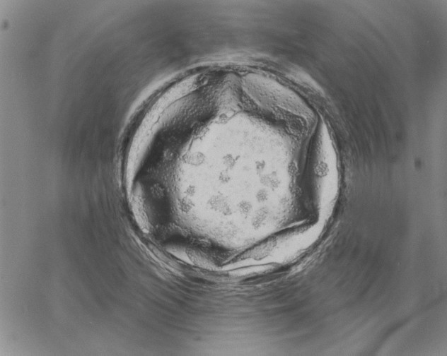 X0000066121216200604071904