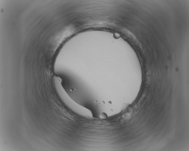 X0000066121218200604071904