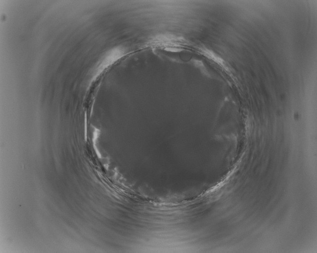 X0000066121219200604071904