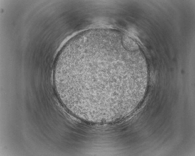 X0000066121220200604071904