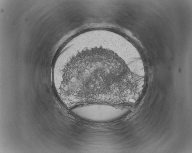 X0000066121221200604071904