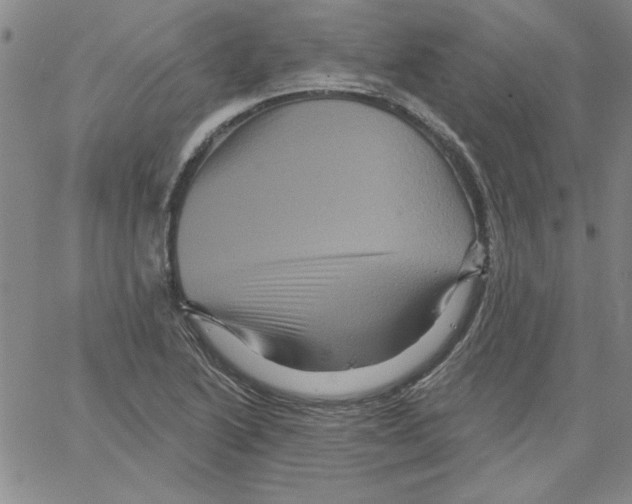 X0000066121222200604071904