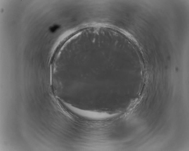 X0000066121223200604071904