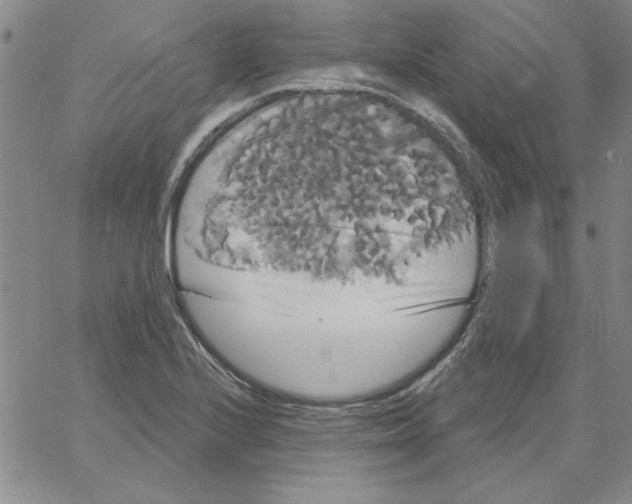 X0000066121224200604071904