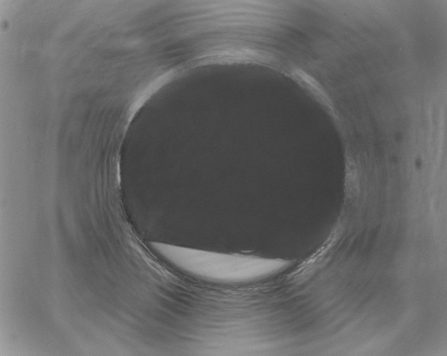 X0000066121226200604071904