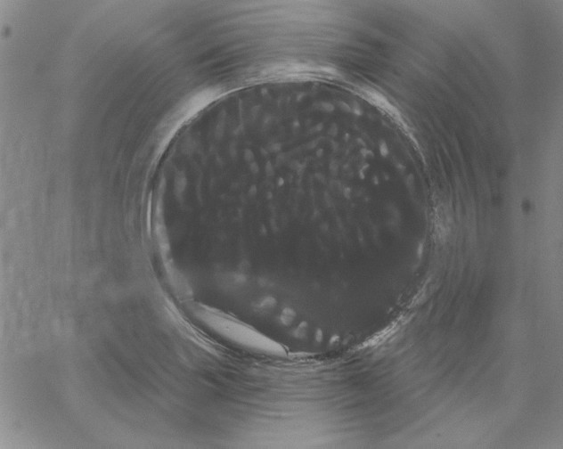 X0000066121227200604071904