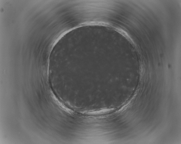 X0000066121228200604071904