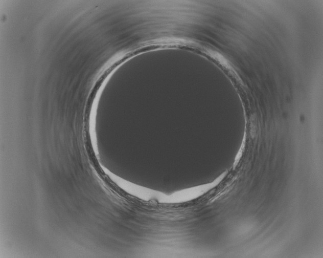 X0000066121229200604071904