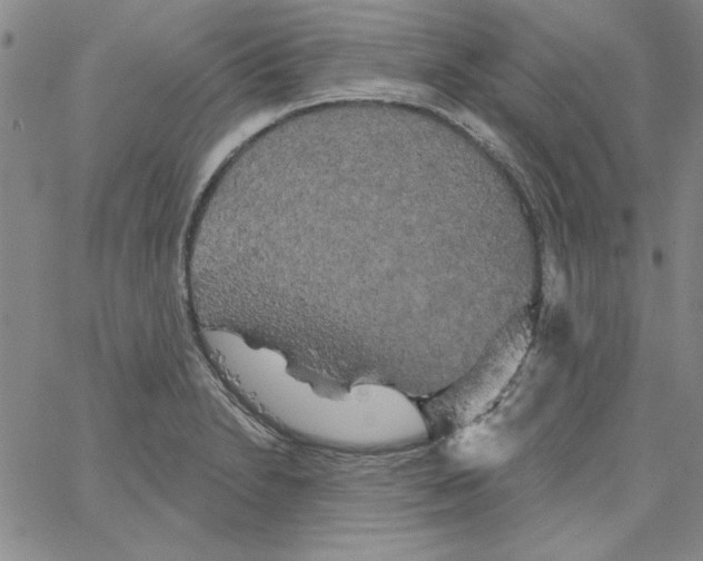 X0000066121230200604071904