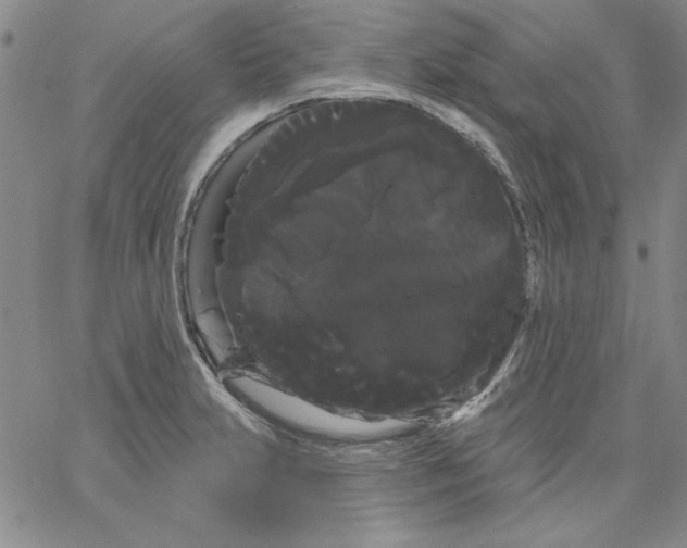 X0000066121231200604071904