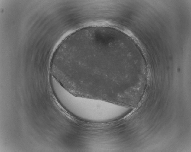 X0000066121232200604071904