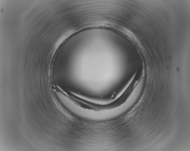 X0000066121234200604071904