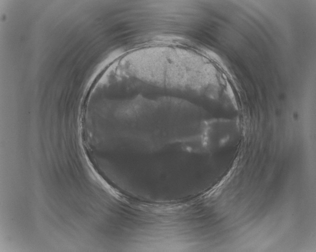 X0000066121235200604071904