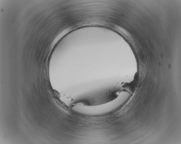 X0000066121242200604071904