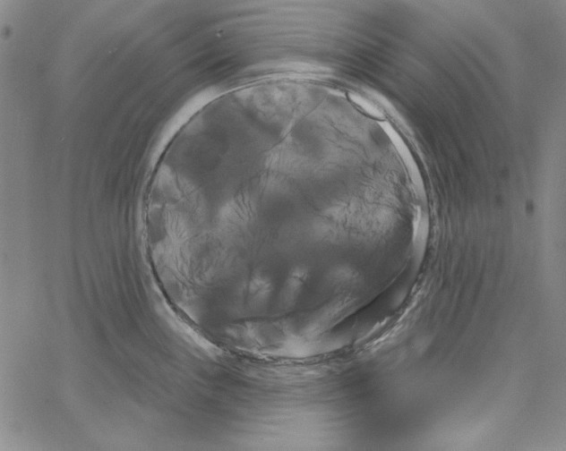 X0000066121243200604071904