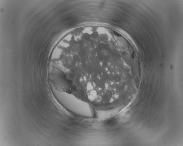 X0000066121244200604071904