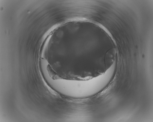 X0000066121245200604071904