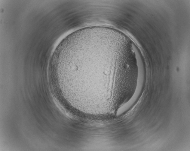 X0000066121246200604071904