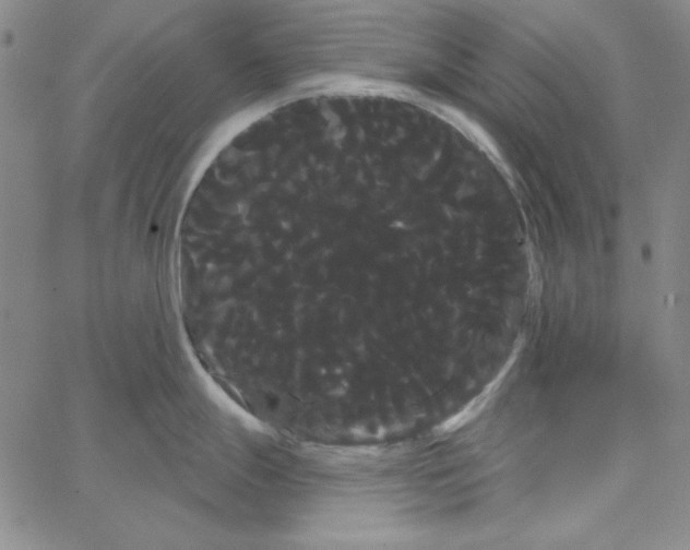 X0000066121247200604071904