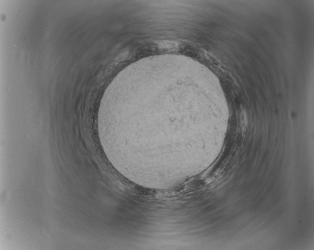 X0000066121249200604071903