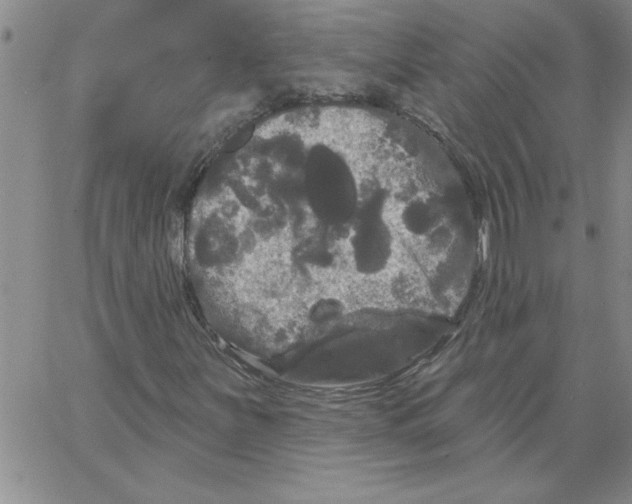 X0000066121251200604071903