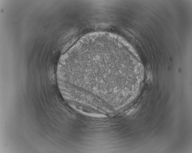 X0000066121252200604071903