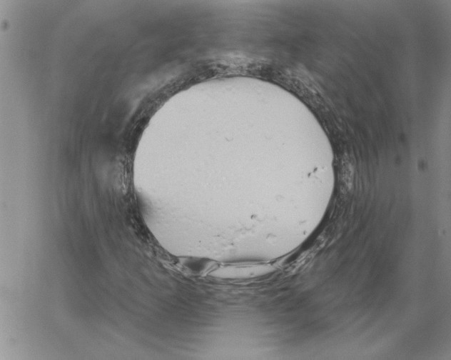 X0000066121253200604071903