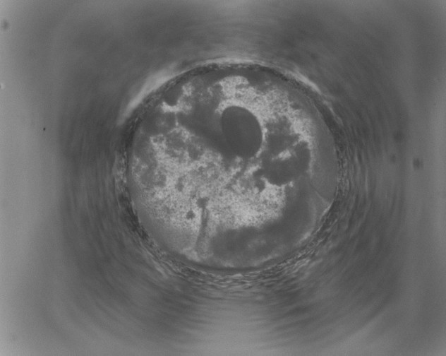 X0000066121255200604071903