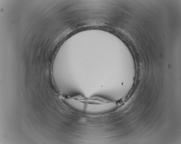 X0000066121257200604071903