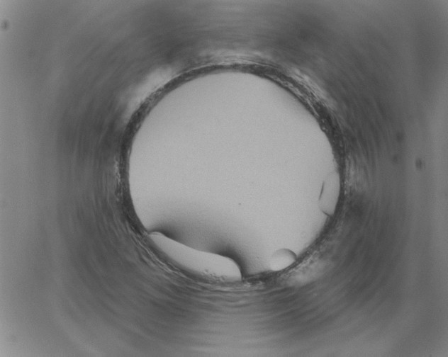 X0000066121261200604071903