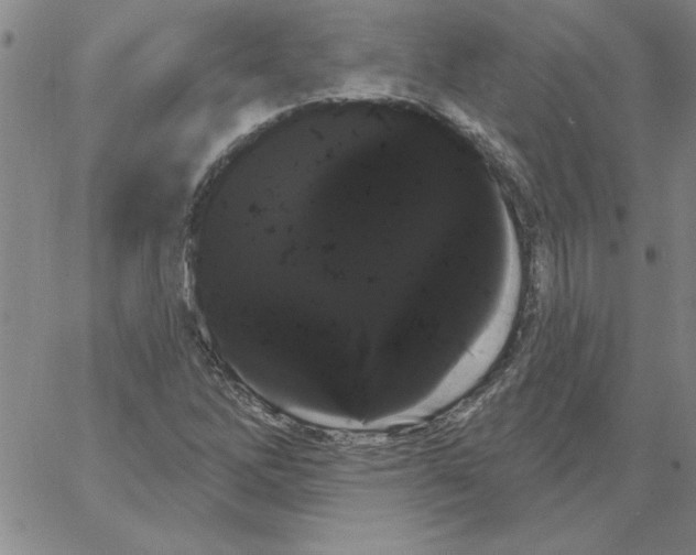 X0000066121262200604071903