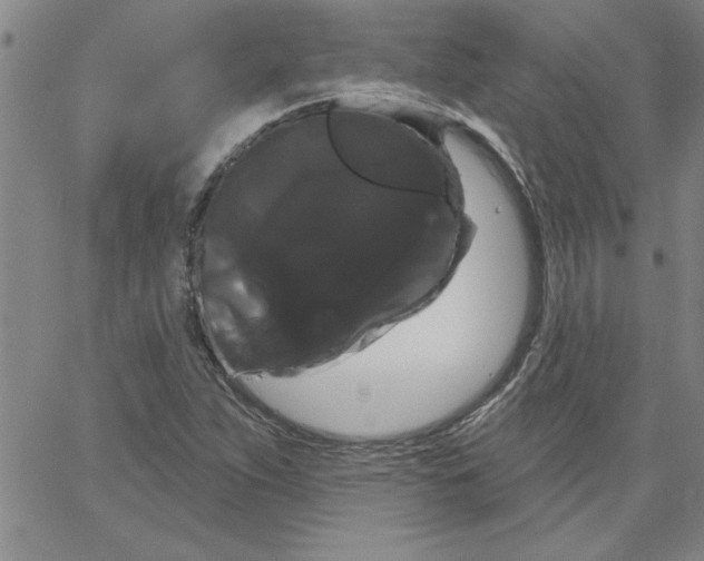 X0000066121263200604071903