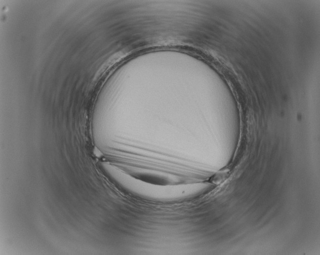 X0000066121265200604071903