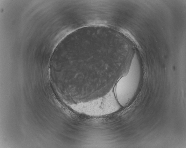 X0000066121268200604071903