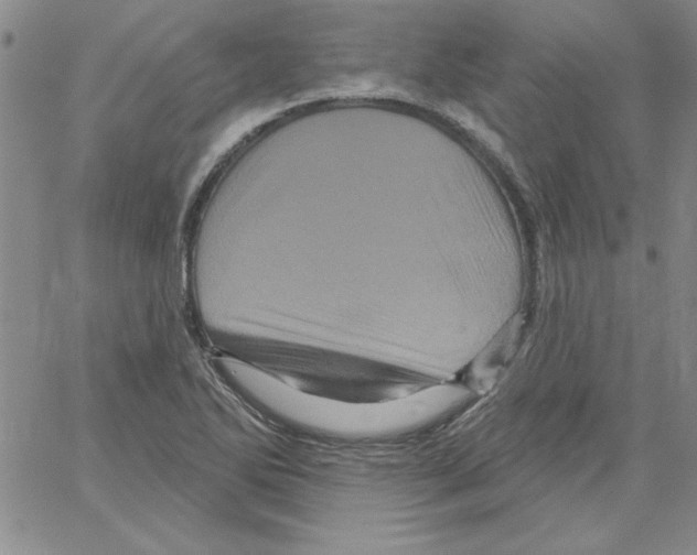 X0000066121270200604071903