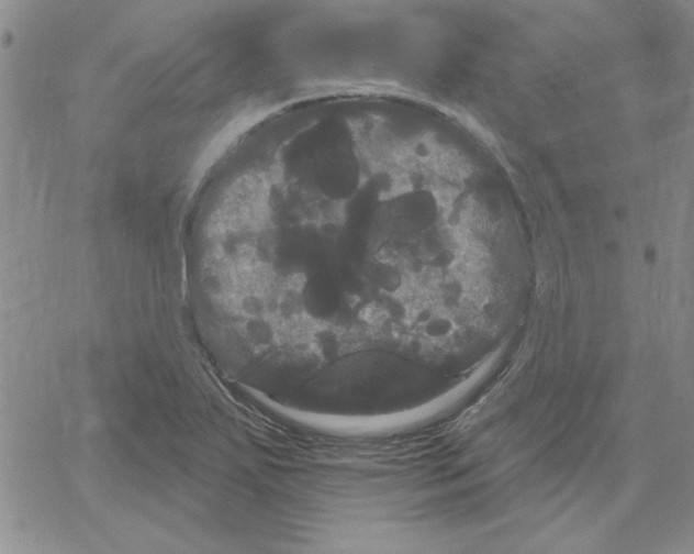 X0000066121271200604071903