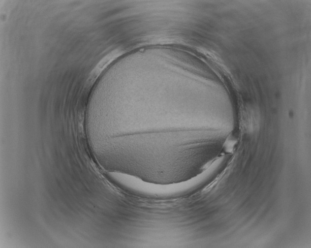 X0000066121273200604071903