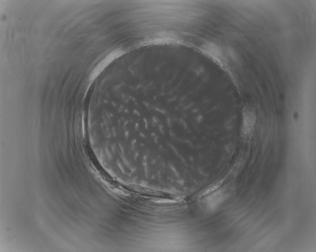 X0000066121274200604071903