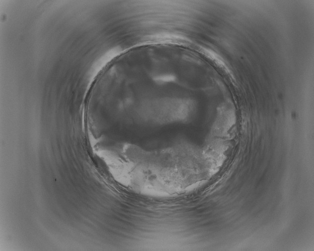 X0000066121275200604071903